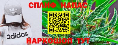 дживик Камышлов