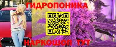 гидра Кандалакша