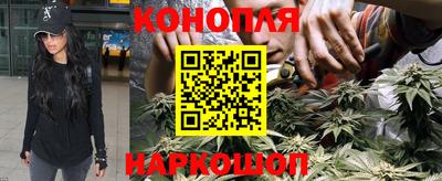 дживик Камышлов