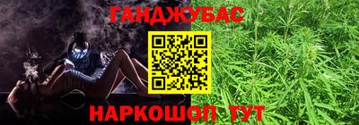гидра Кандалакша
