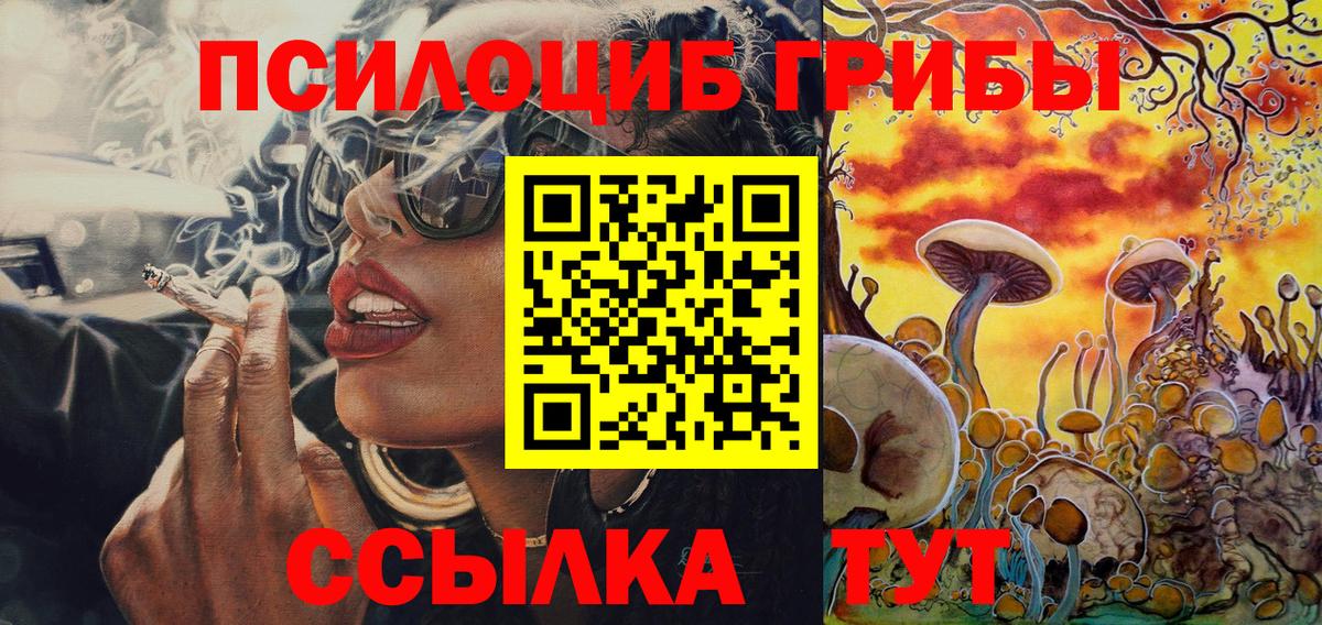Галлюциногенные грибы Psilocybe Щёкино