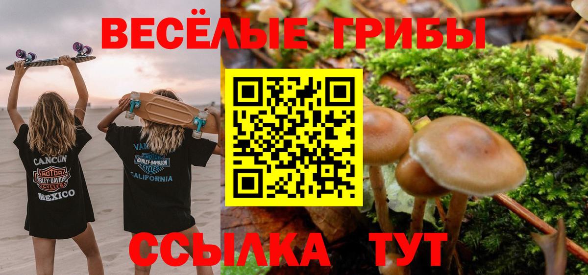 Псилоцибиновые грибы мухоморы  Вход с VPN  Щёкино 